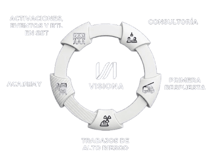 Ecosistema de Servicios VISIONA